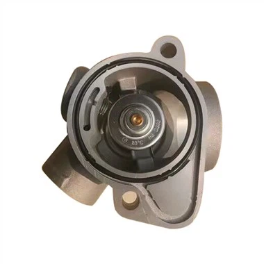 04198791R Deutz BFM1013 Zespół termostatu